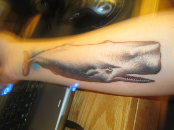 Whale on my forearm. The above tattoo is my newest peice.