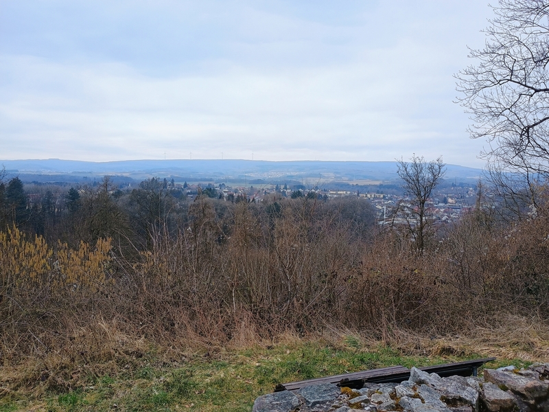 view
